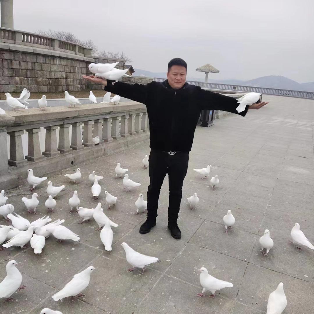 曙光