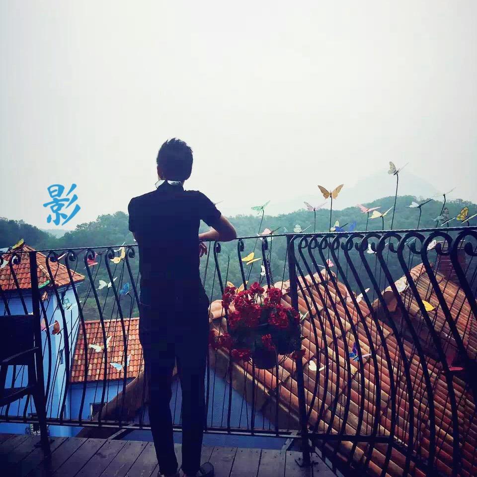 🐢龟仙人同志🐢