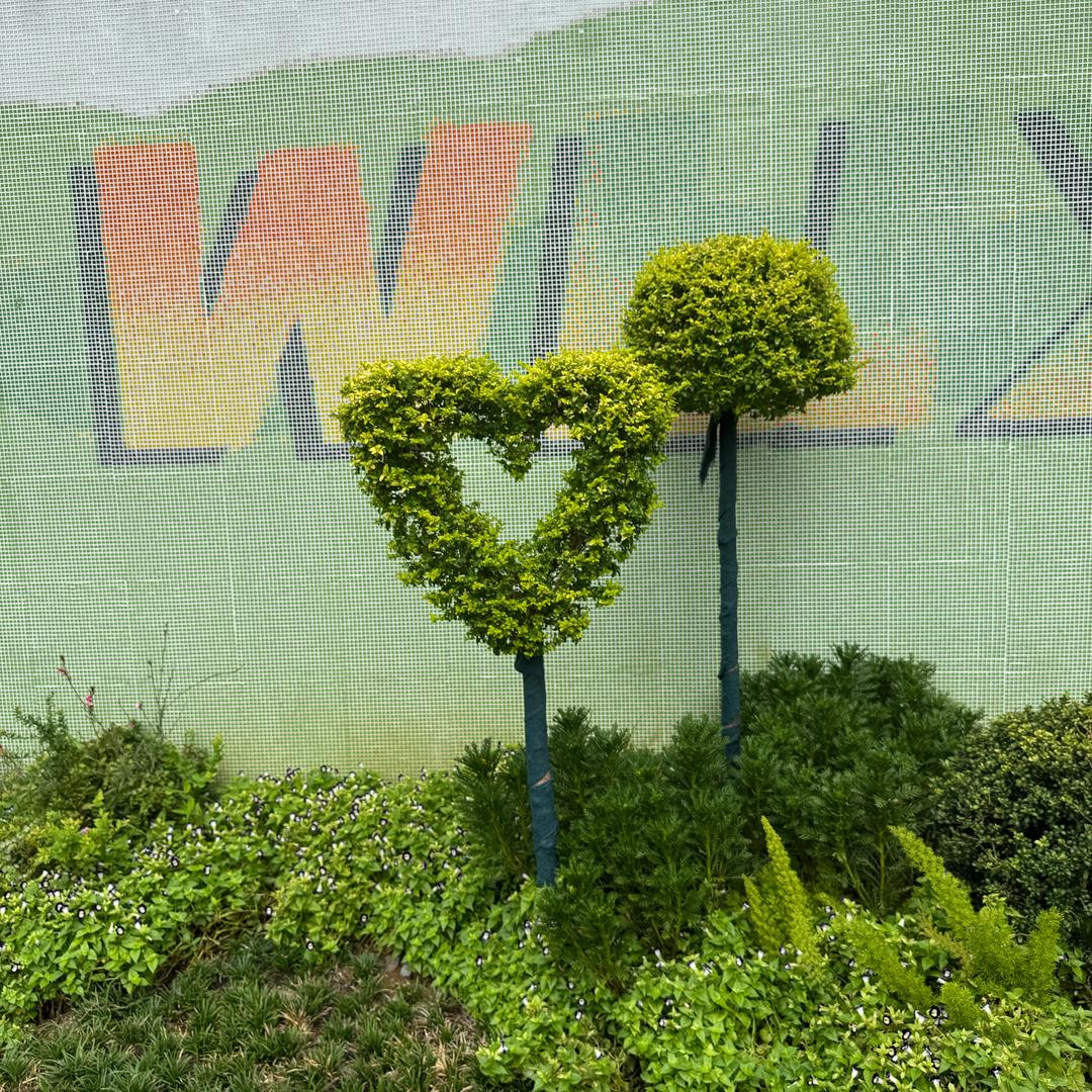 ౪ᩚᐝ一路ഒᩚ童欣🌟࿐