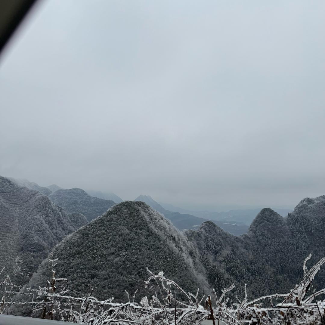 小福猪