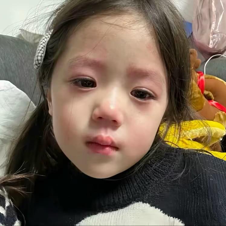 辞棠棠