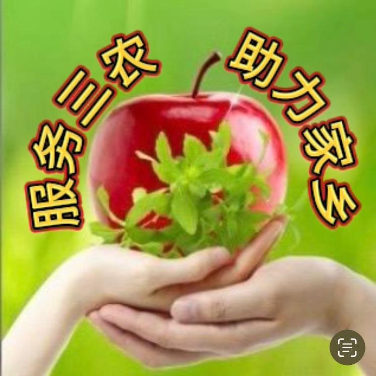 凤翼天翔