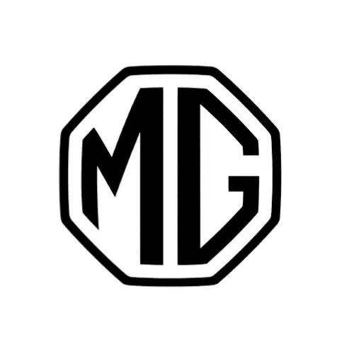 乐清华泰MG（新能源）