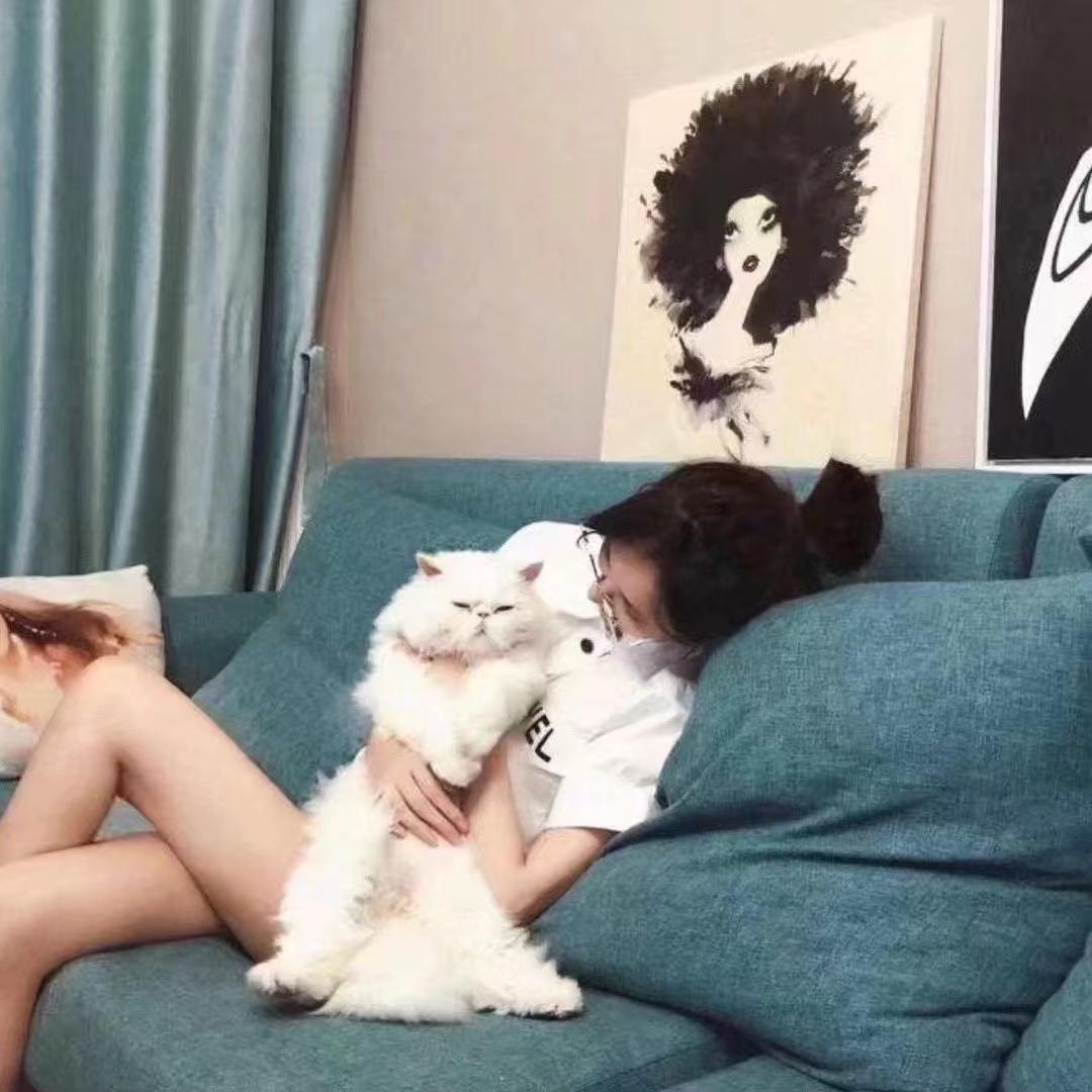 椰椰（宇宙无敌美少女）