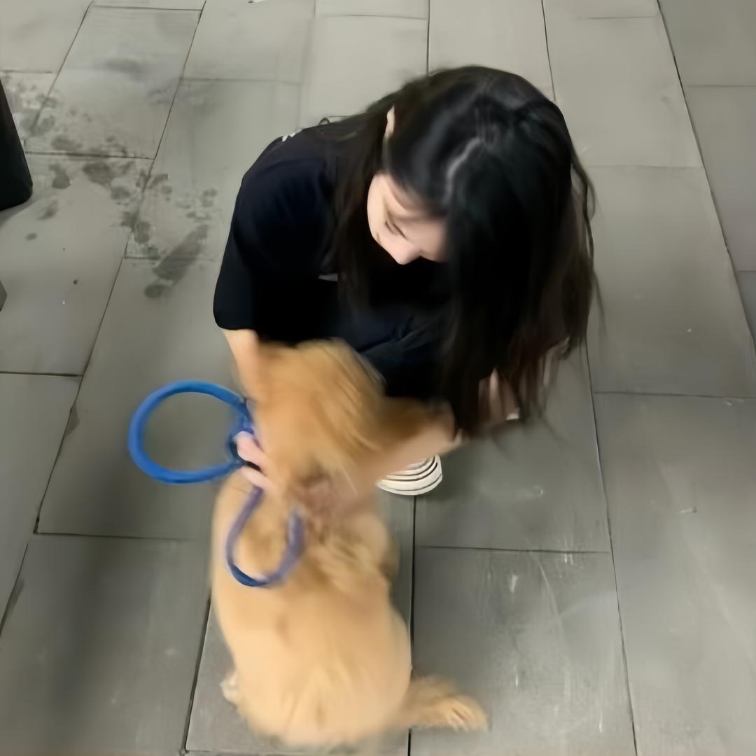 熬夜大王‘