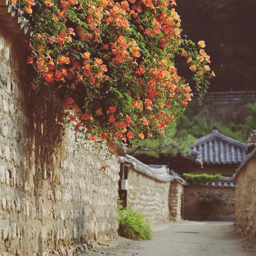 泰美精选