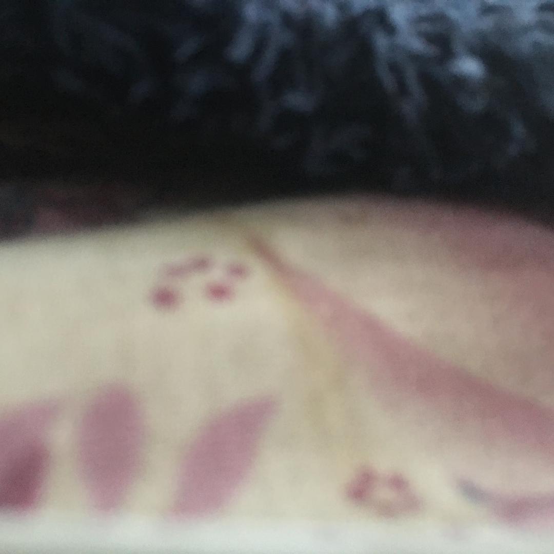 百花争艳
