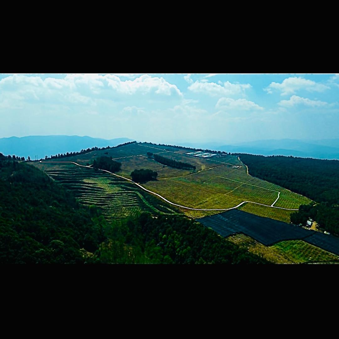 武定苗岭苹果莊园