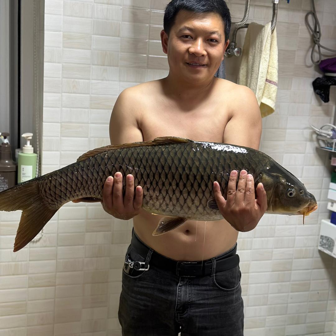 A【袁氏】玻璃门窗