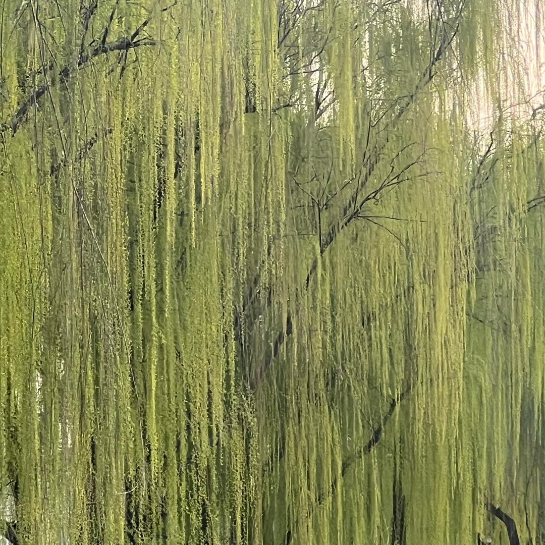 依澜