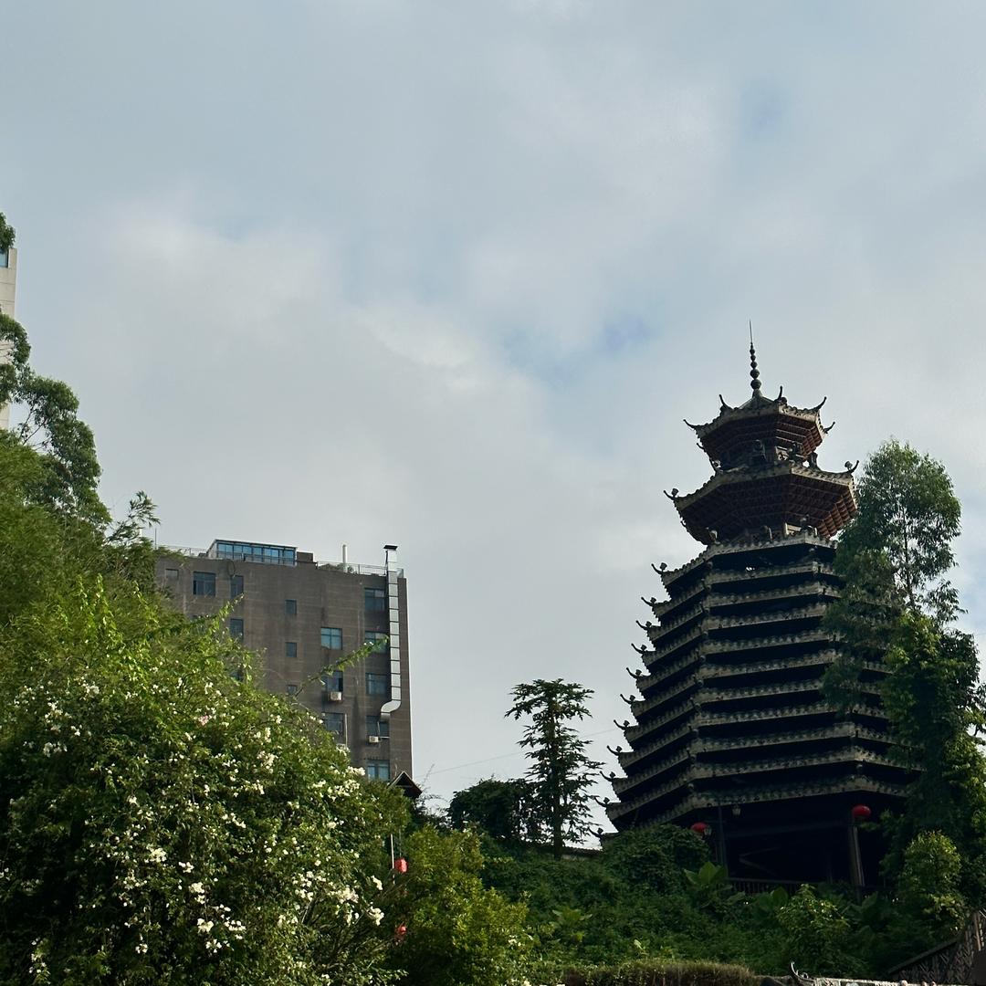 她叫糖呀