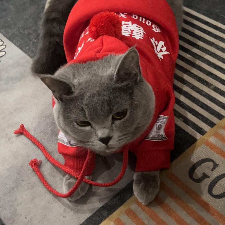 多宝的宠物用品小店