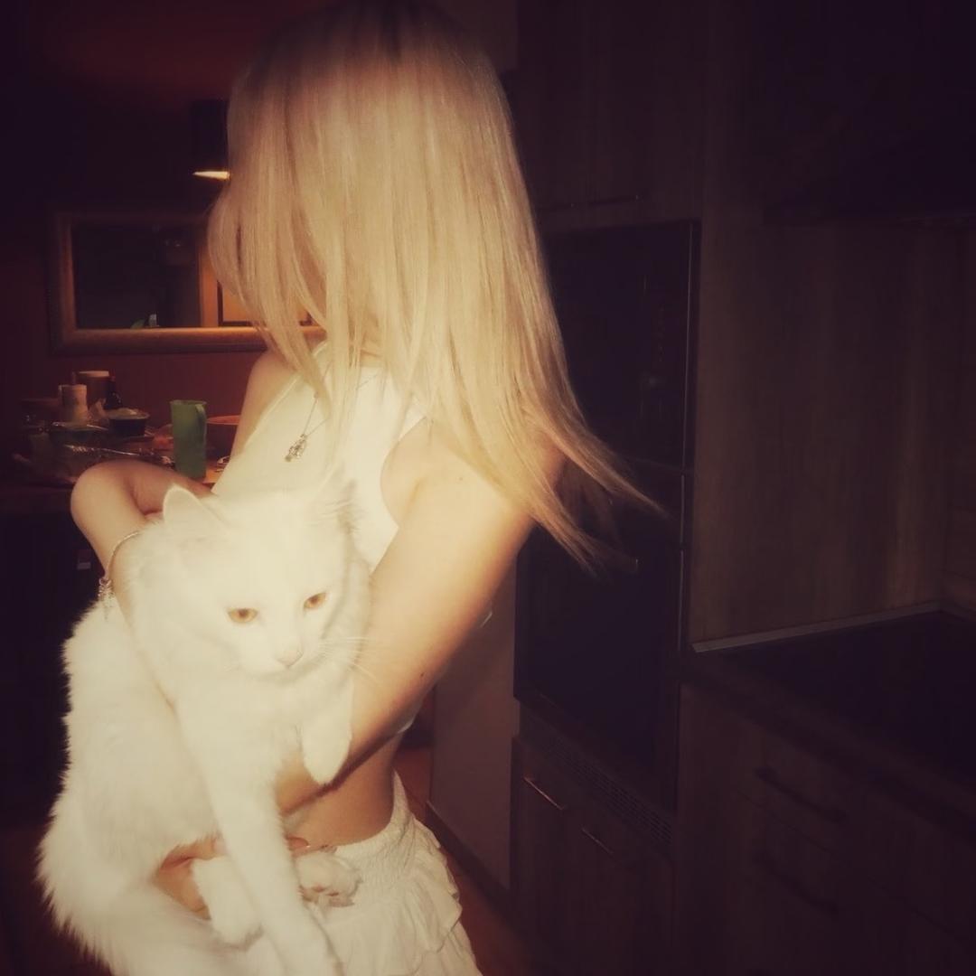 PiP