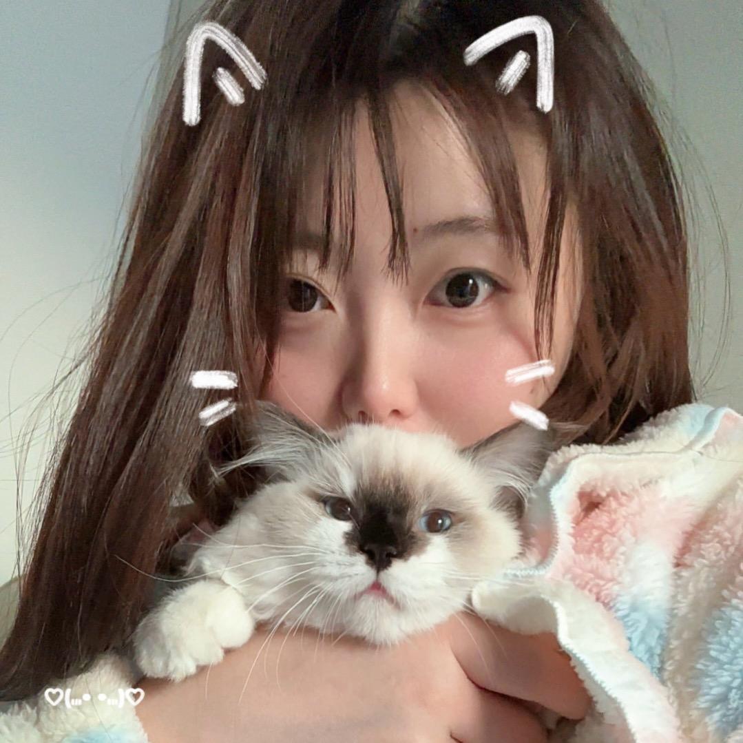 小杨爱上班