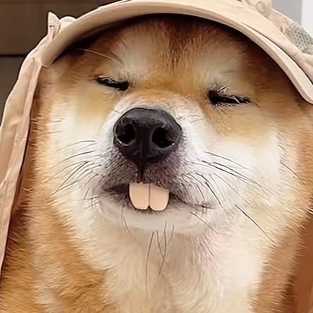 面具下的嘲讽脸