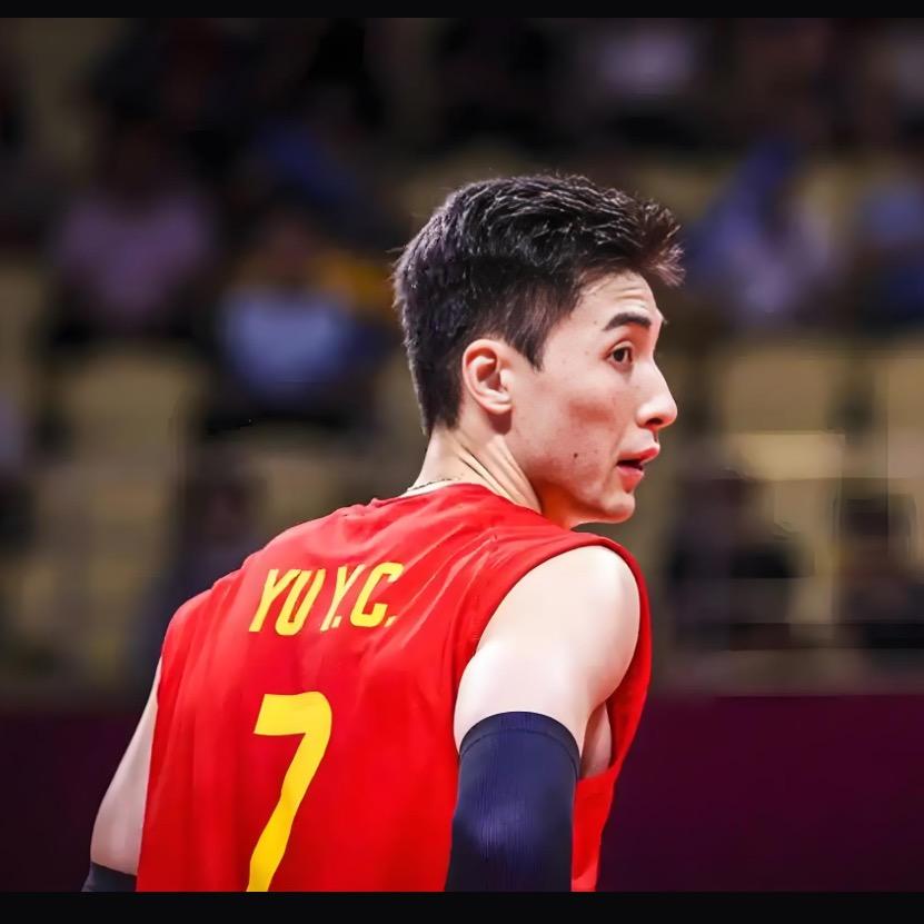 setter