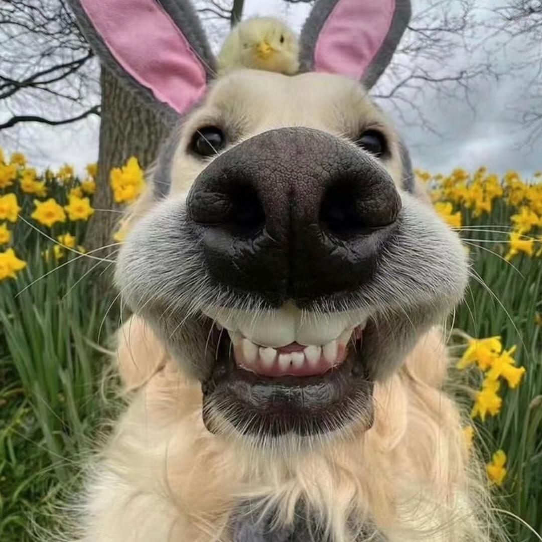 崽崽🍄‍🟫🍄‍🟫