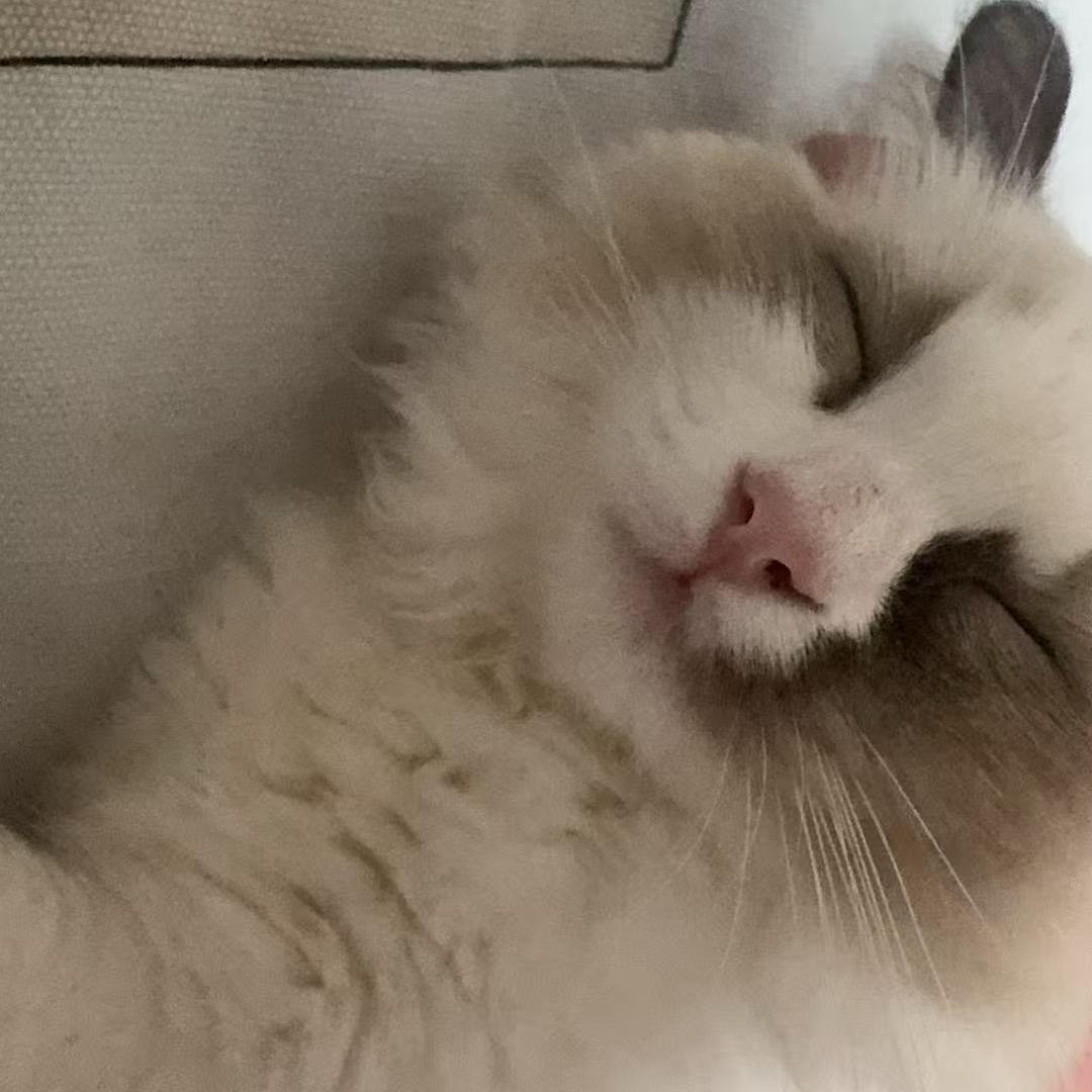 Duvet