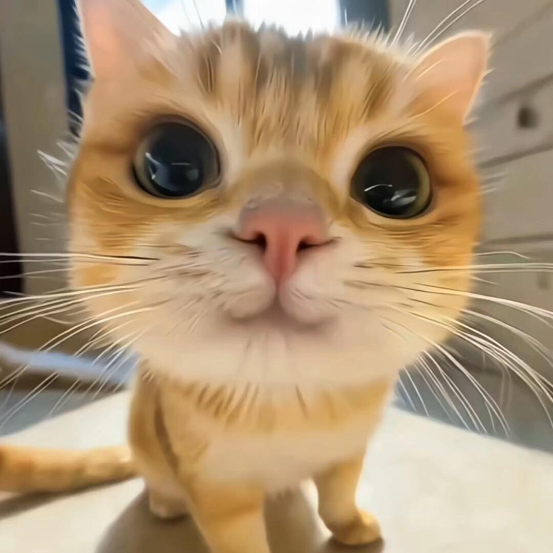 Day