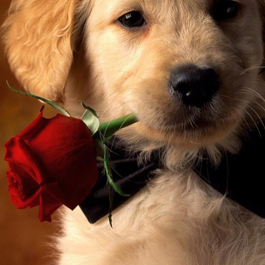 人非人物非物ʕ̡̢̡ʘ̅͟͜͡ʘ̲̅