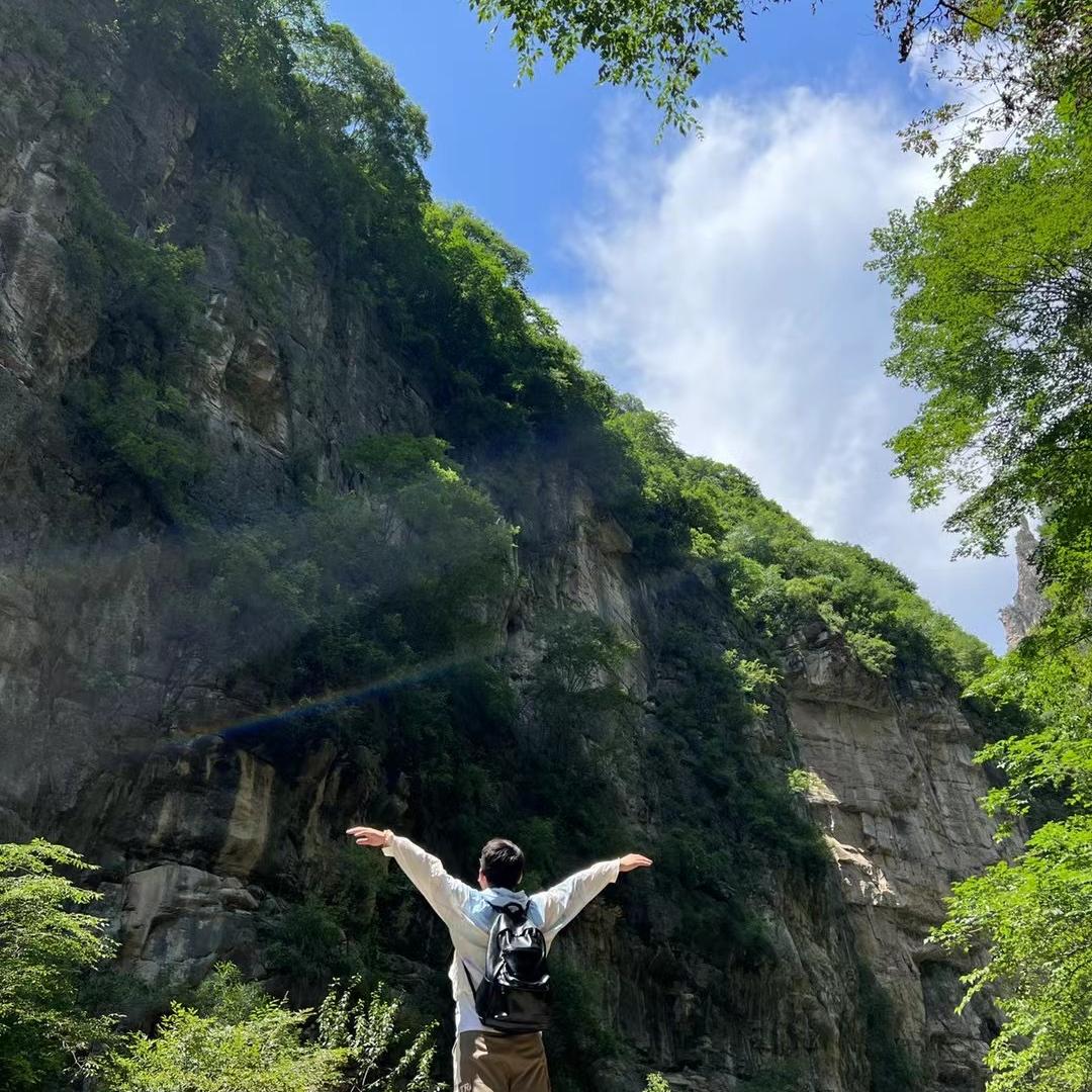 特瑞琪路飞跨境