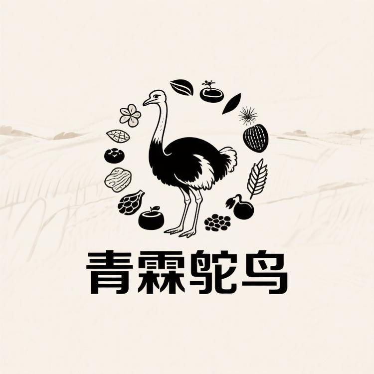 青霖鸵鸟精选(团队招人)