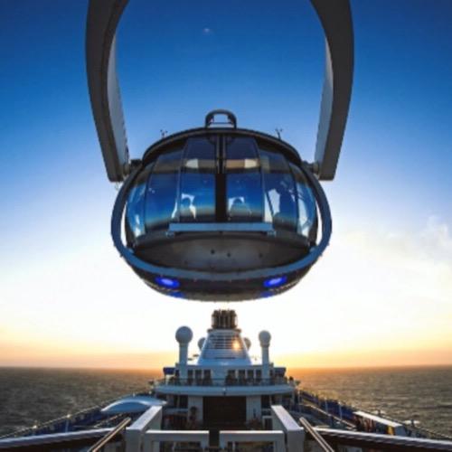 锦乔游游游🚢🌍
