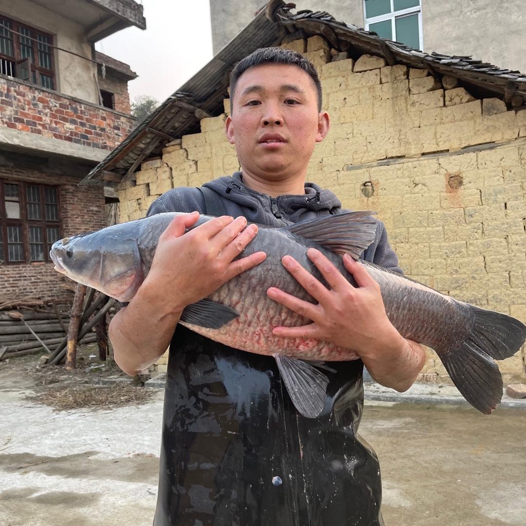 松桃箭牌卫浴.伟星管.浙派集成灶.鹏飞