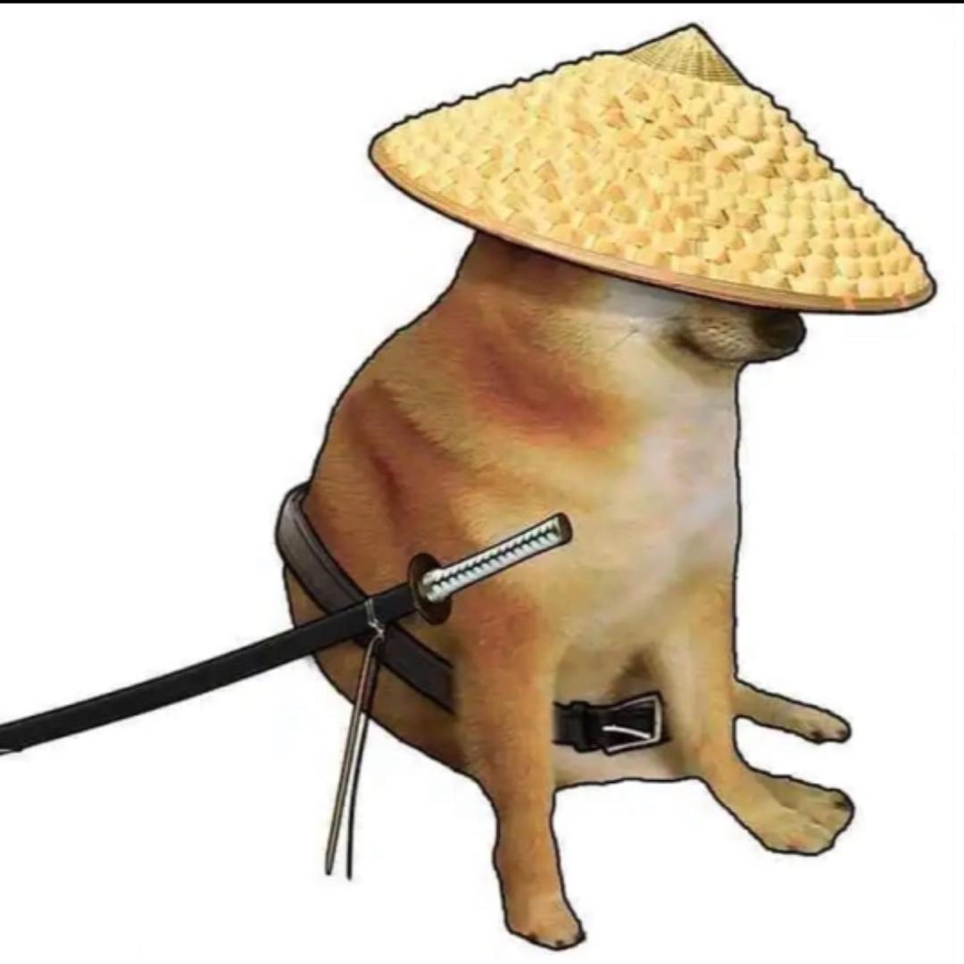 小甜水儿战神