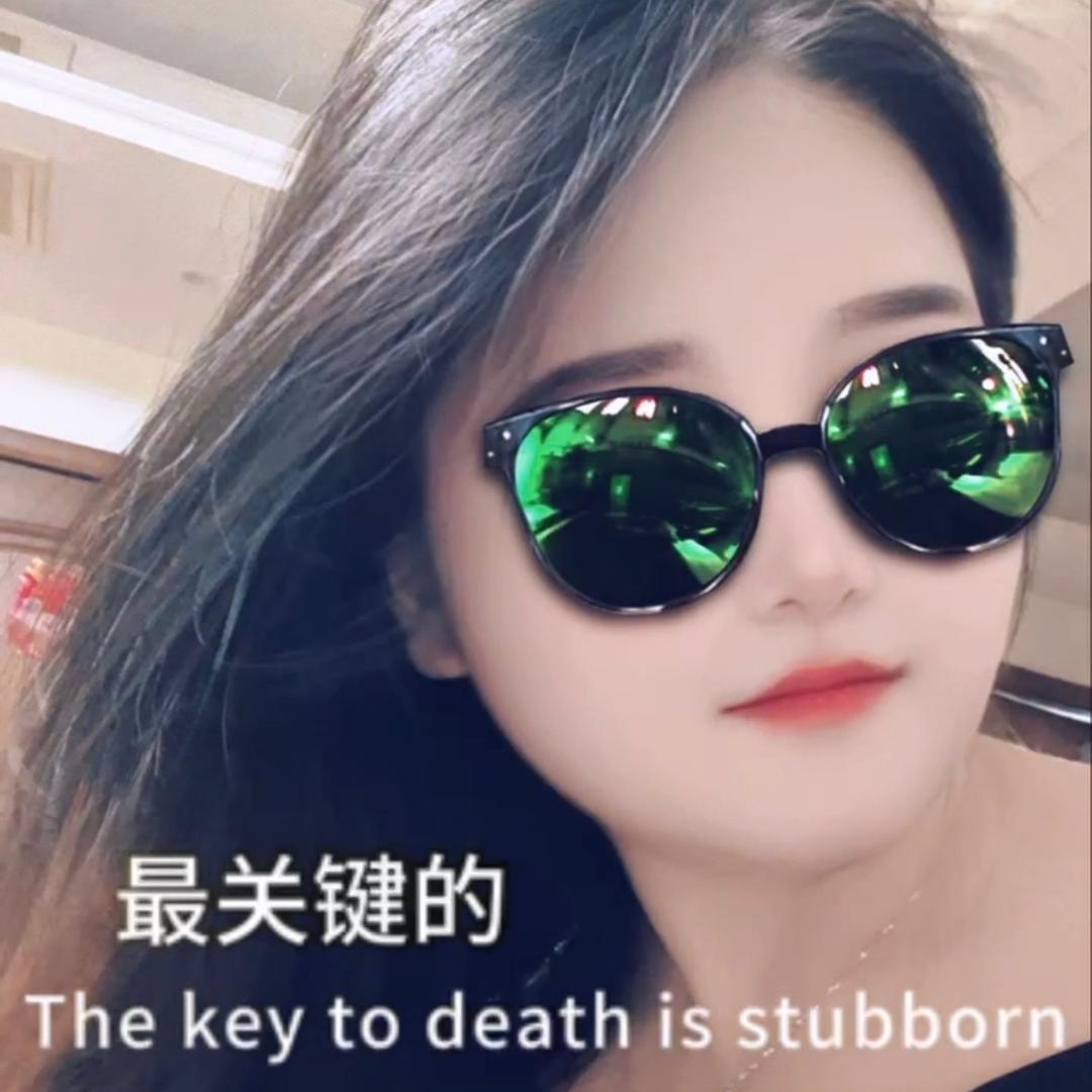 萌小猫