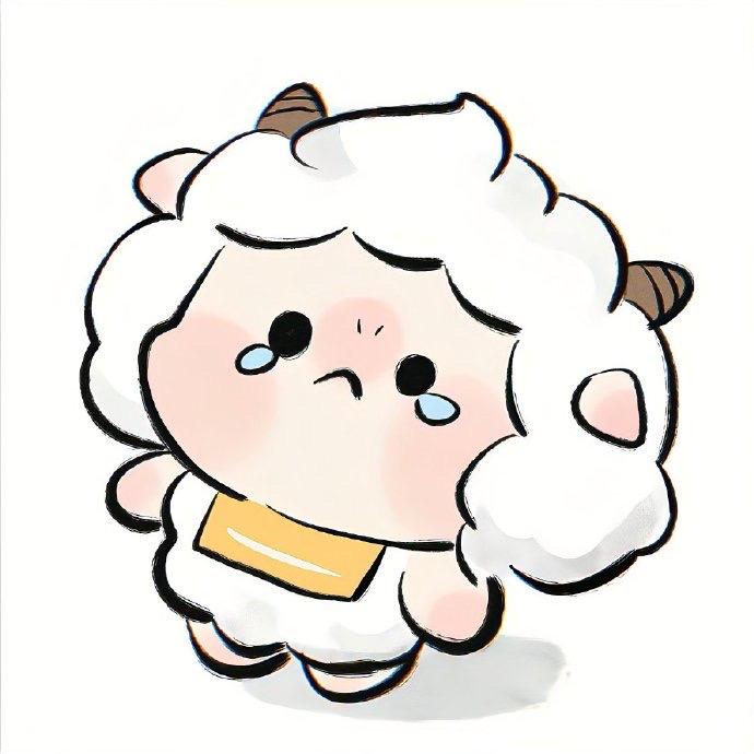 CY.