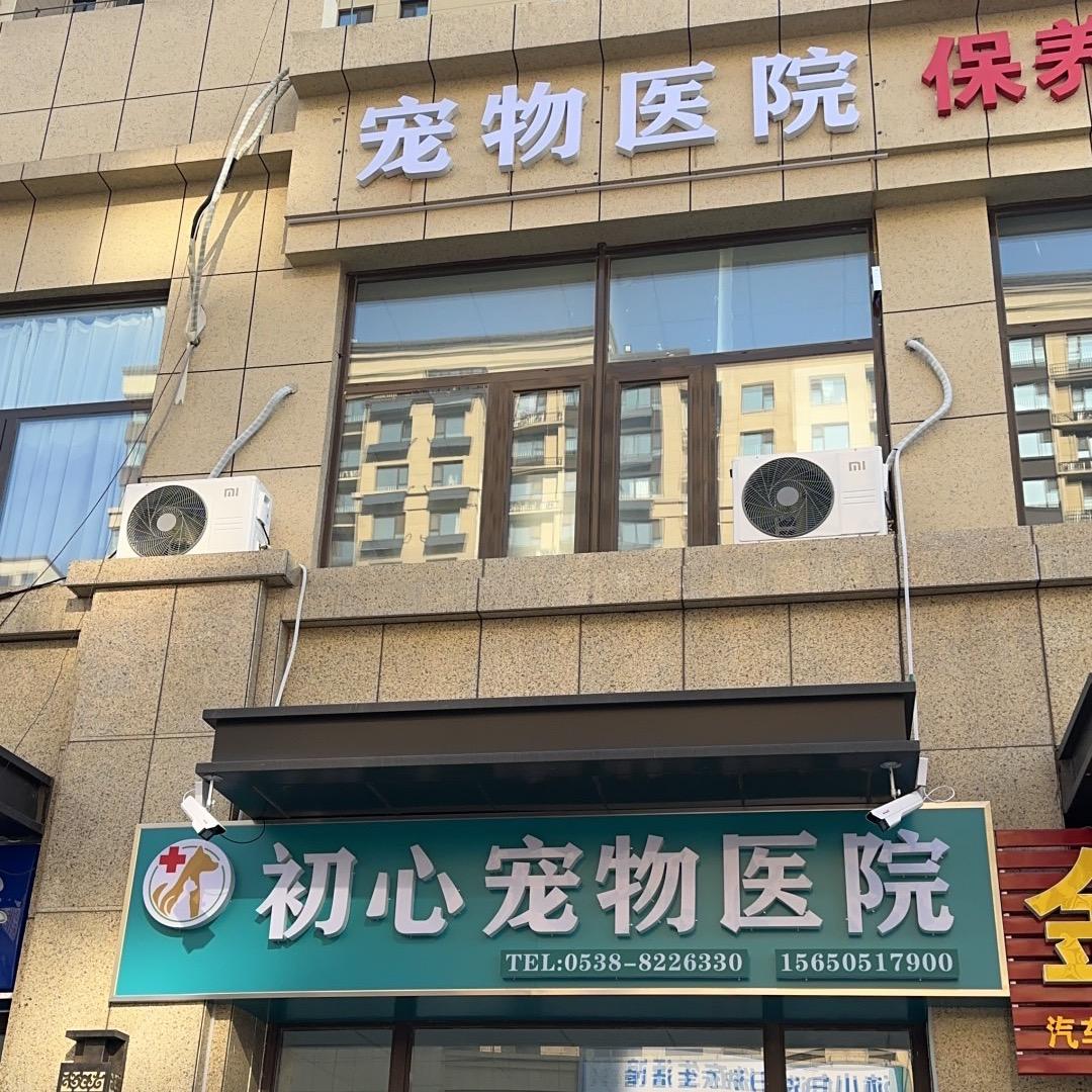 泰安初心宠物医院周医生