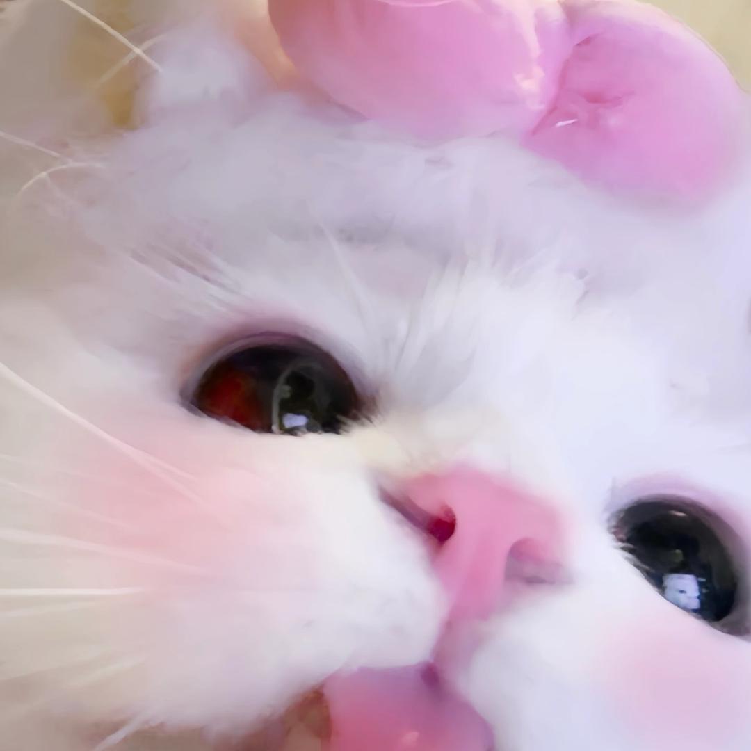 Oii