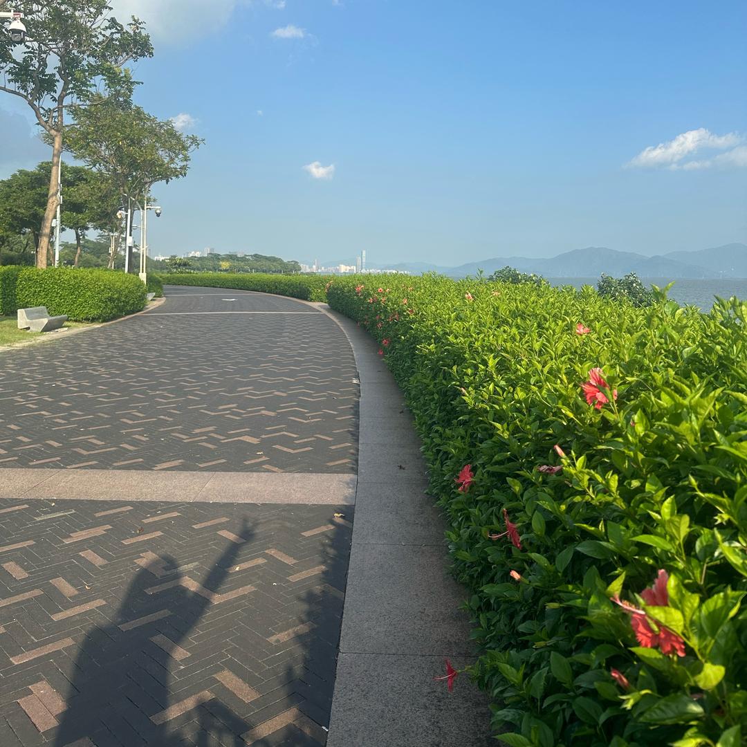 金鱼满堂