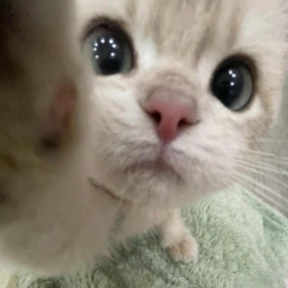 卡哇伊