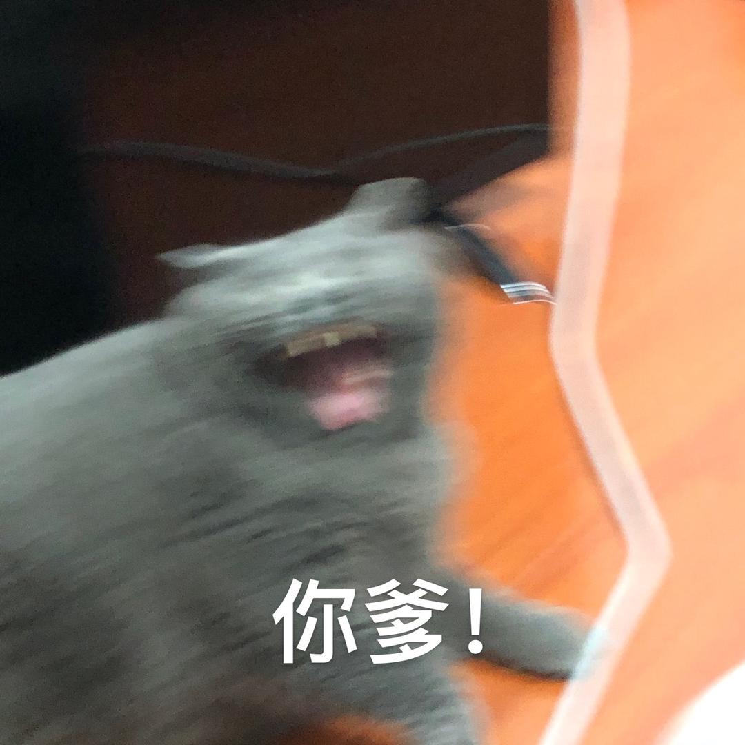 尴尬小马