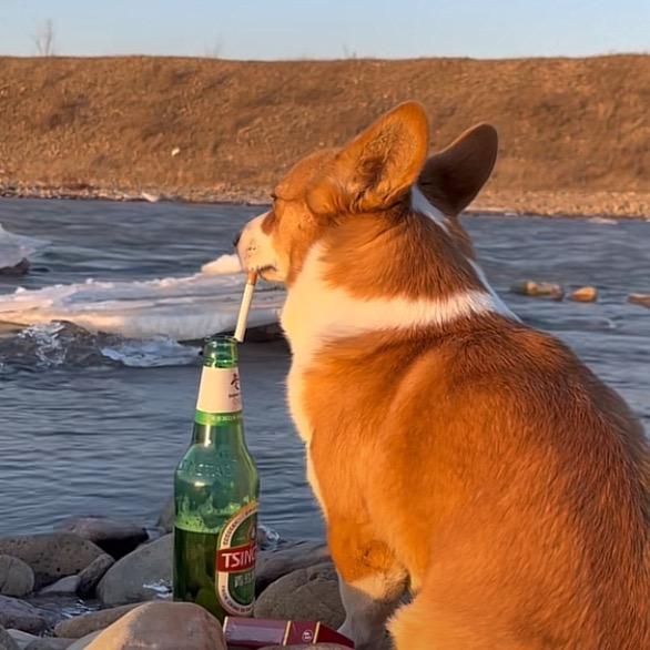 酒驾