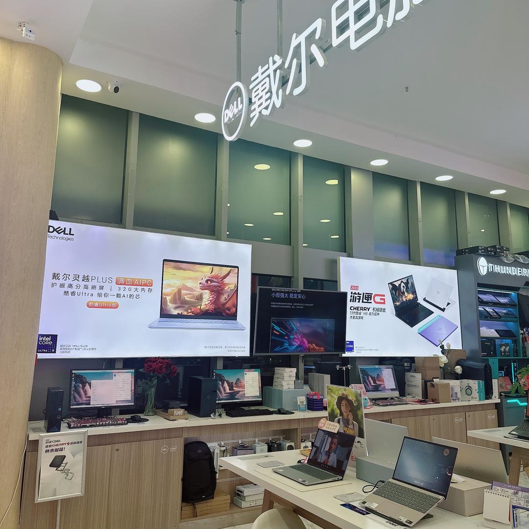 双双电脑说💻