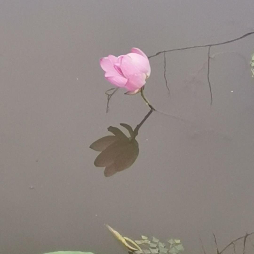 ꧔ꦿ᭄阿何💞᭄࿐