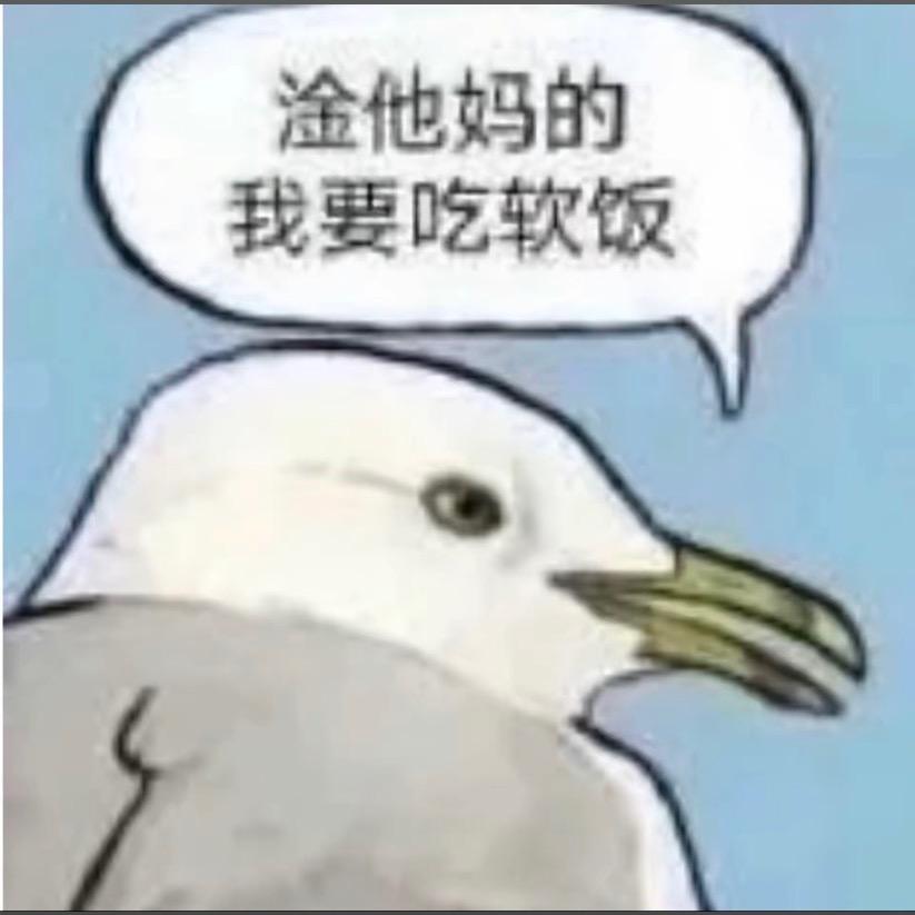 哦哦哦哦