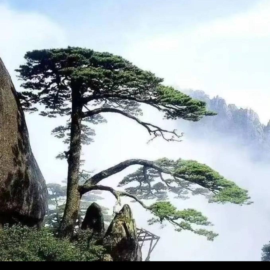 遇见珎暿