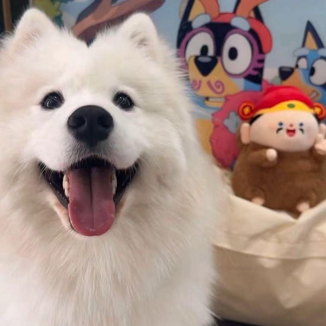 漫禾·一站式婚嫁 晚风