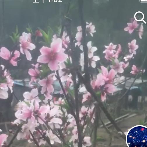 第六感哪里去了
