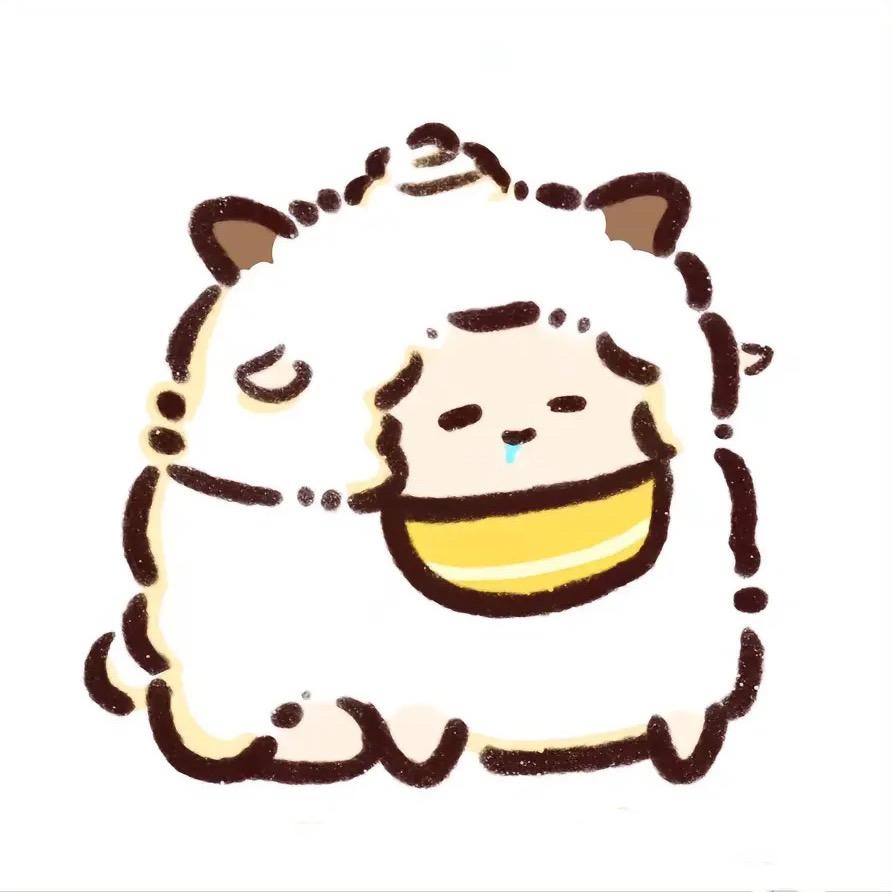 家飞睡不醒