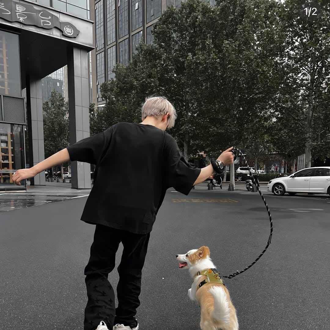 王权