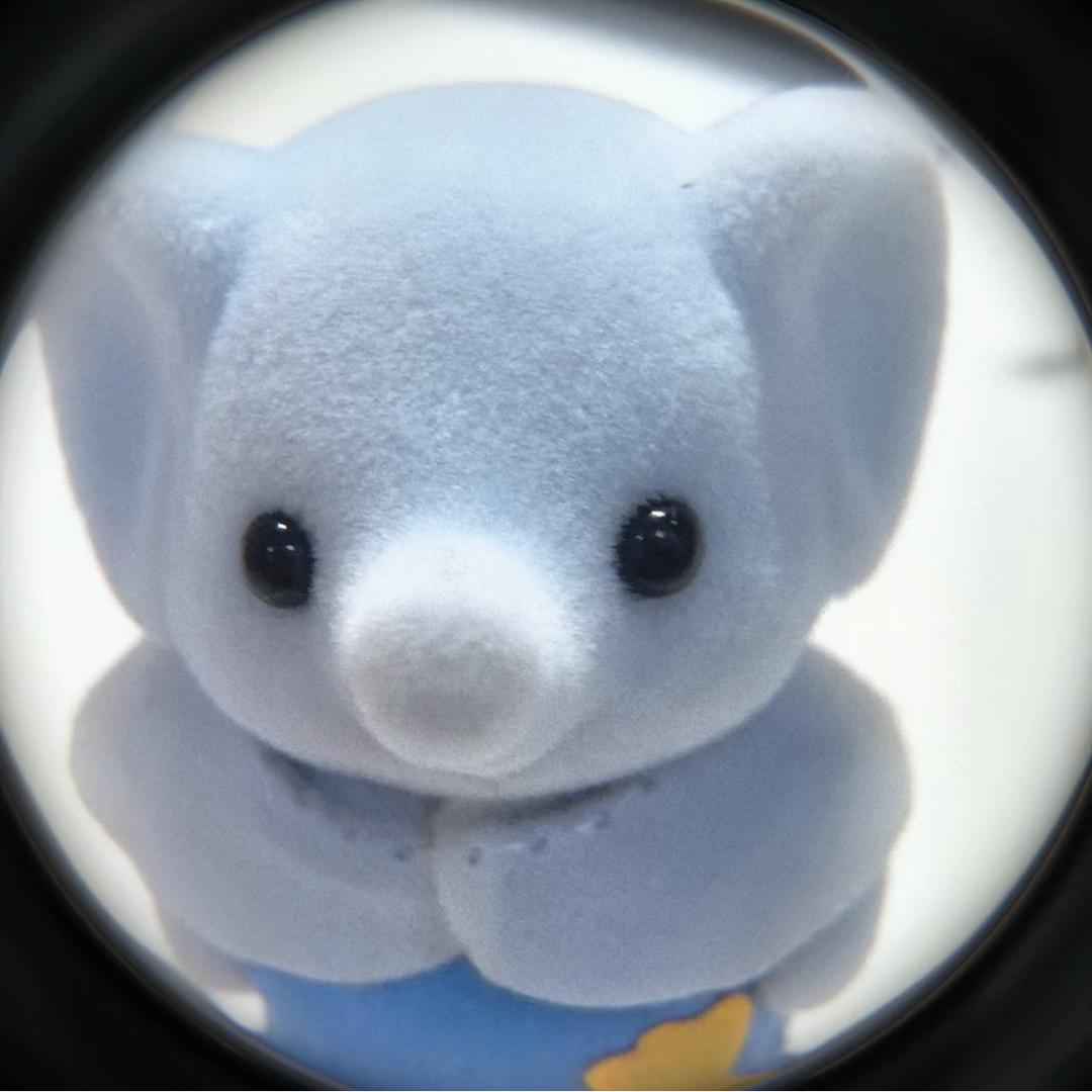 福来🐘