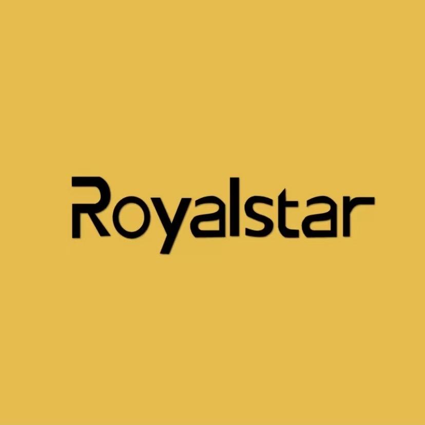荣事达Royalstar元气中式厨电专卖店