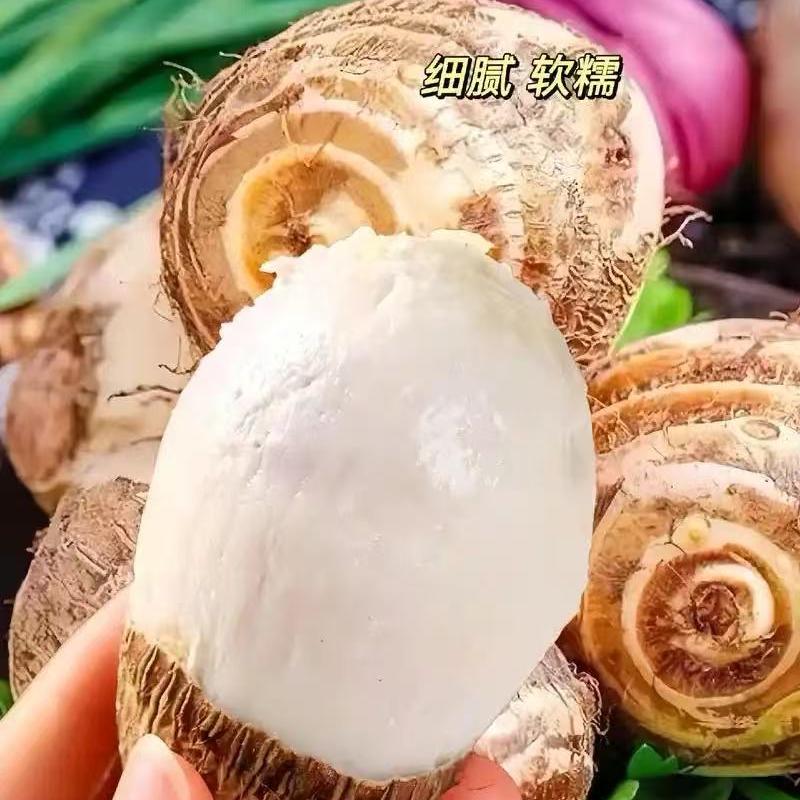 乐吃派零食优选