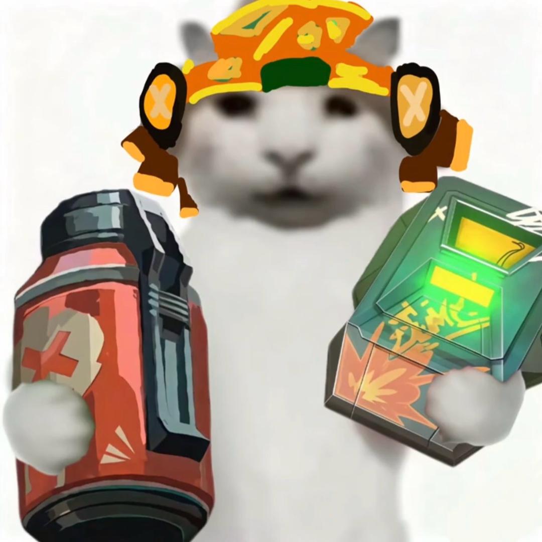 有钱有颜有时间