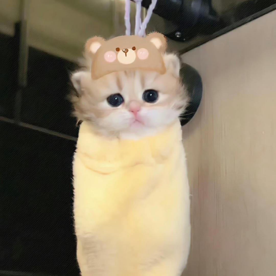 近步抱告2